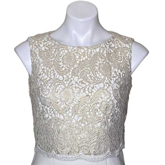 Tahari ASL NWT $159 Lace Overlay Cocktail Sheath Dress, Ivory/White Gold Size 2 - Picture 2 of 10